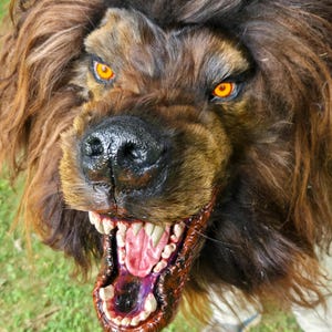 May include: A realistic werewolf mask featuring thick, shaggy brown and black fur, intense glowing orange eyes, and a wide-open mouth revealing sharp, detailed teeth and a pink tongue. The snout is textured with a glossy black nose and dark fur.