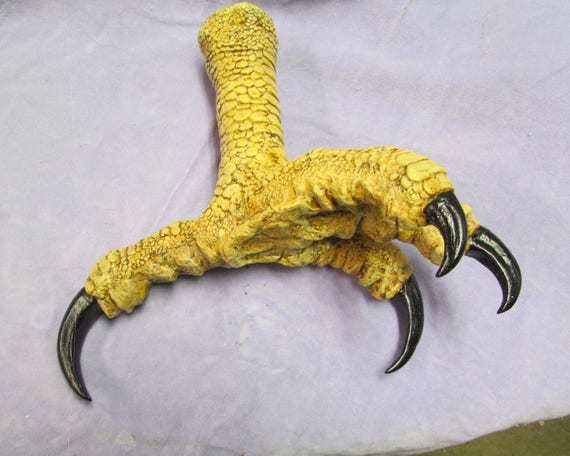 Huge Haast eagle replica foot talon claw raptor dinosaur fossil bird finished