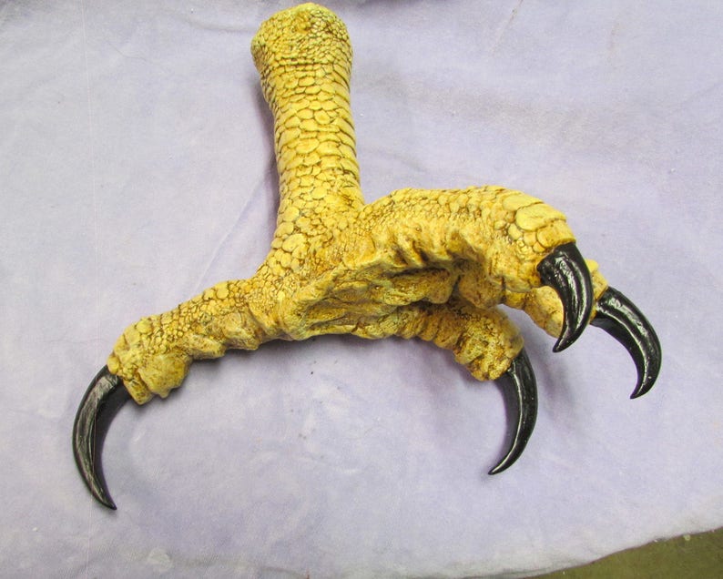 fossil raptor