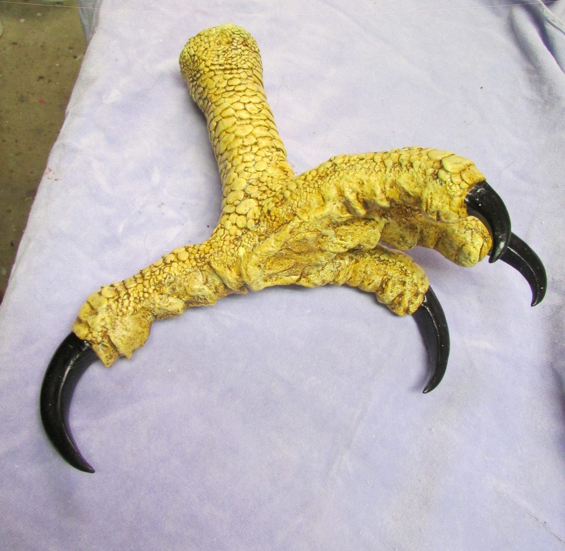 Haast Eagle Fossil Raptor Reproduction Foot Talon Claws Life Etsy