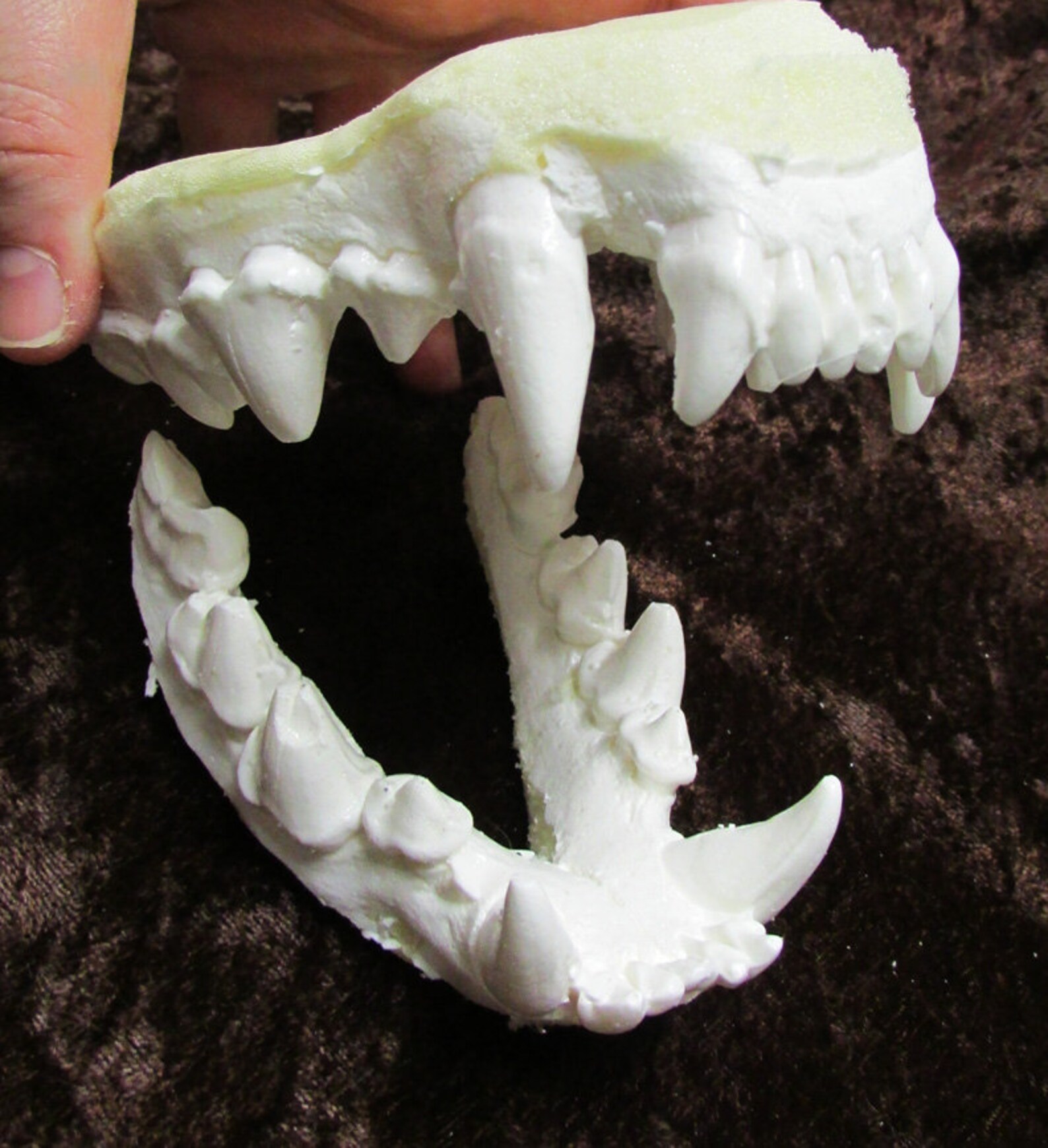 Spotted hyena jaws teeth replica | Etsy