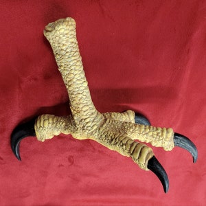 Harpy eagle replica bird raptor foot finished