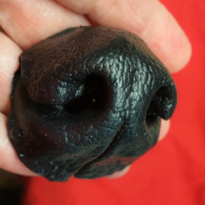 Lebensechte weiche flexible Werwolf Hunde Maske Kostüm Gumminase