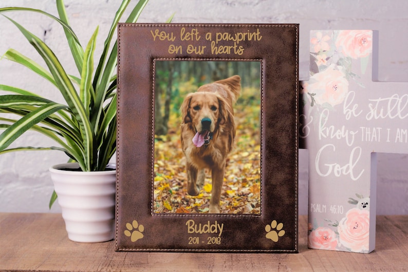May include: A brown leather photo frame with a gold inscription that reads "You left a pawprint on our hearts". The frame has a photo of a golden retriever dog and the inscription "Buddy 2011-2018" below the photo. There are two gold paw prints on either side of the inscription.