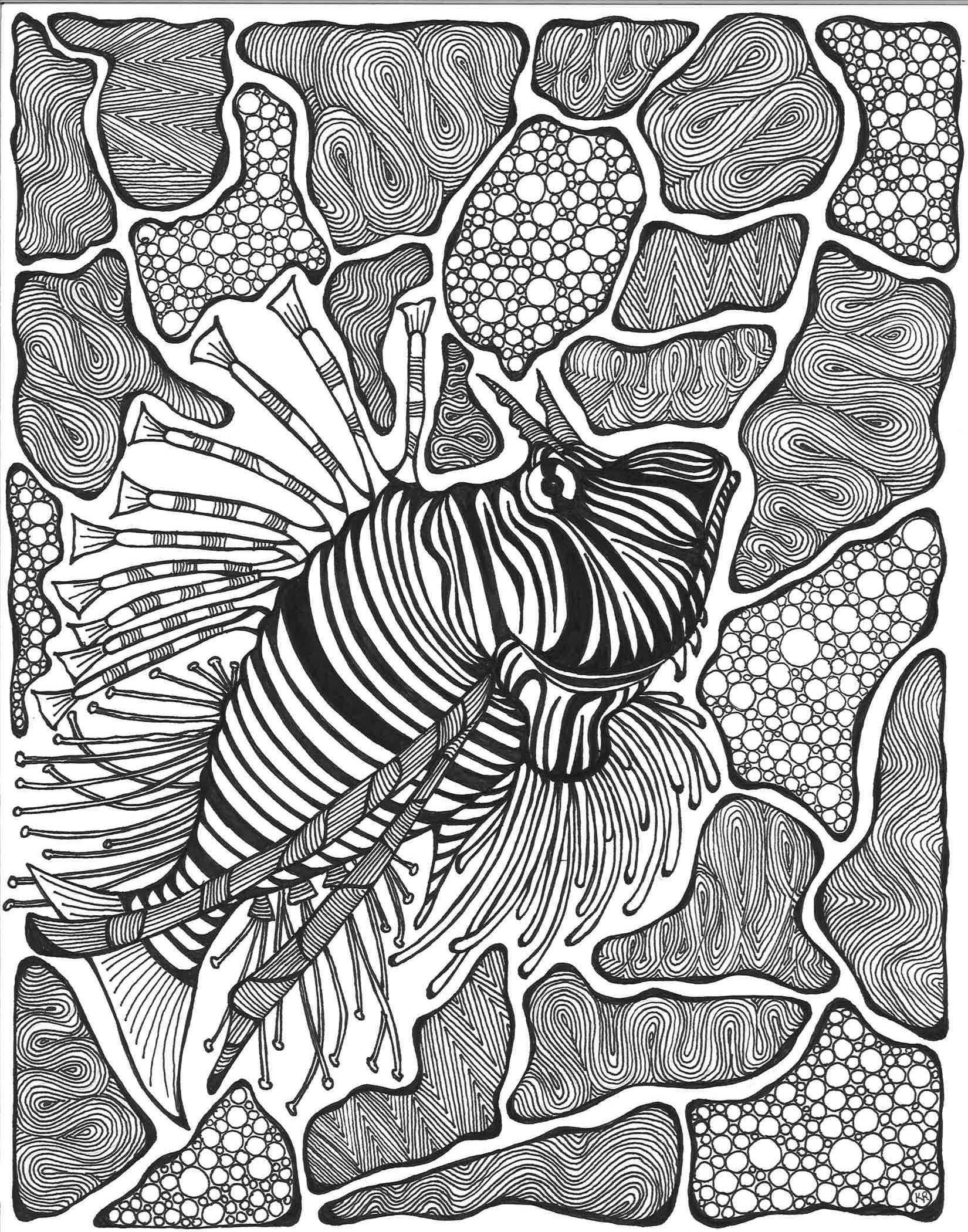 Download Lionfish Adult Coloring Page Etsy