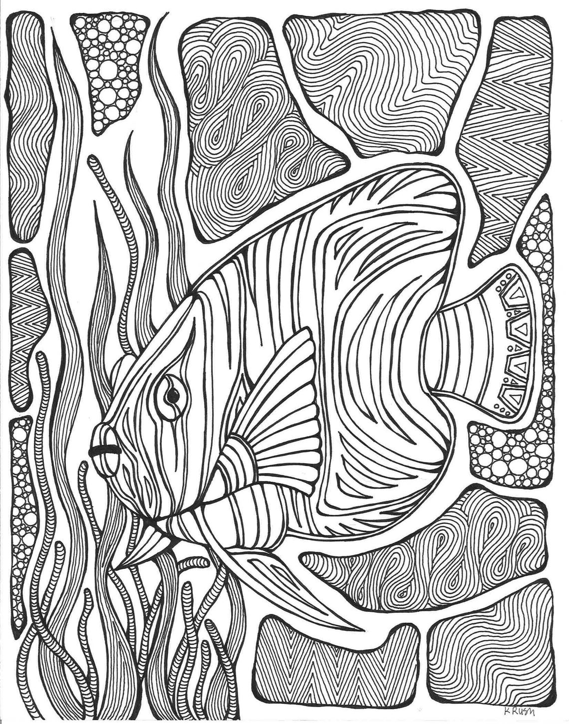 Zebra Fish Adult Coloring Page | Etsy
