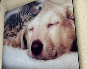 Acrylic Print for Office and Business; Flat Bed Acrylic Printing; Full Color Acrylic Glossy Mirror Print