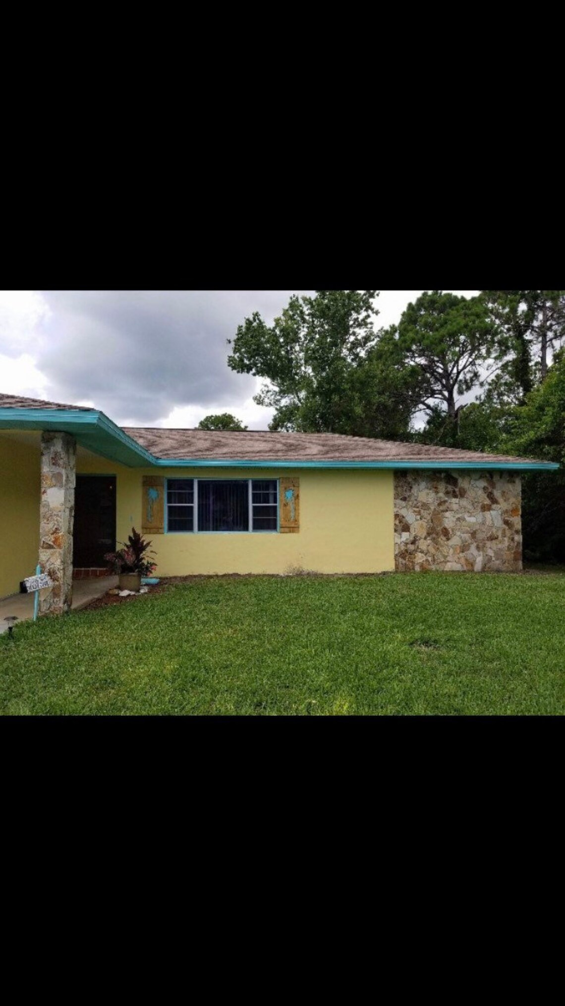 Solid wood exterior shutters with palm tree cut outs