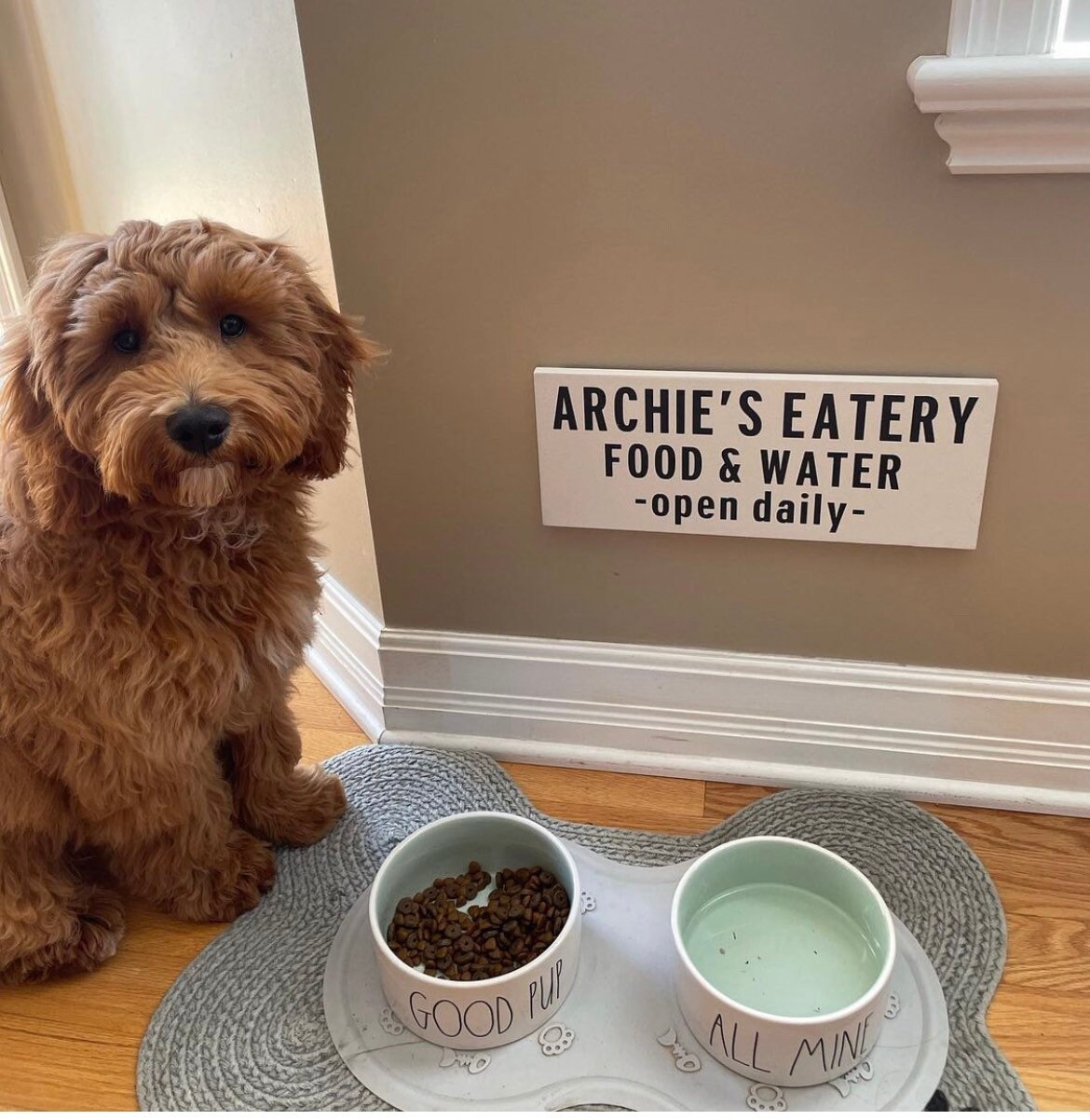 Personalized Dog Food Sign © Pet Feeding Sign Pups Eatery Etsy