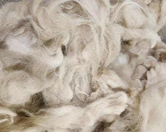 300g Natural Raw Alpaca Fleece Wool