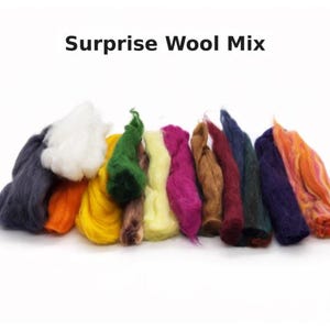 May include: A collection of colorful wool fibers in shades of orange, yellow, green, pink, brown, blue, and white. The text "Surprise Wool Mix" is displayed above the fibers on a white background.