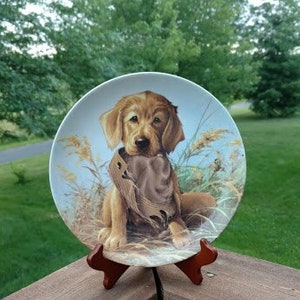1987, Caught in the Act, The Golden Retriever by Lynn Kaatz Porcelain Collectible Plate, Knowles
