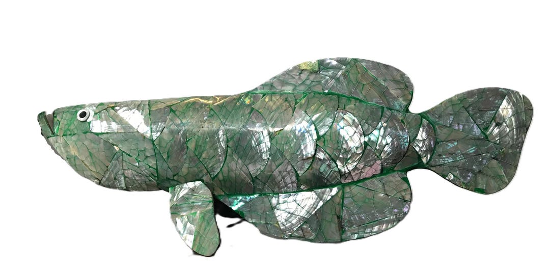 Vintage Abalone Paua Shell 14