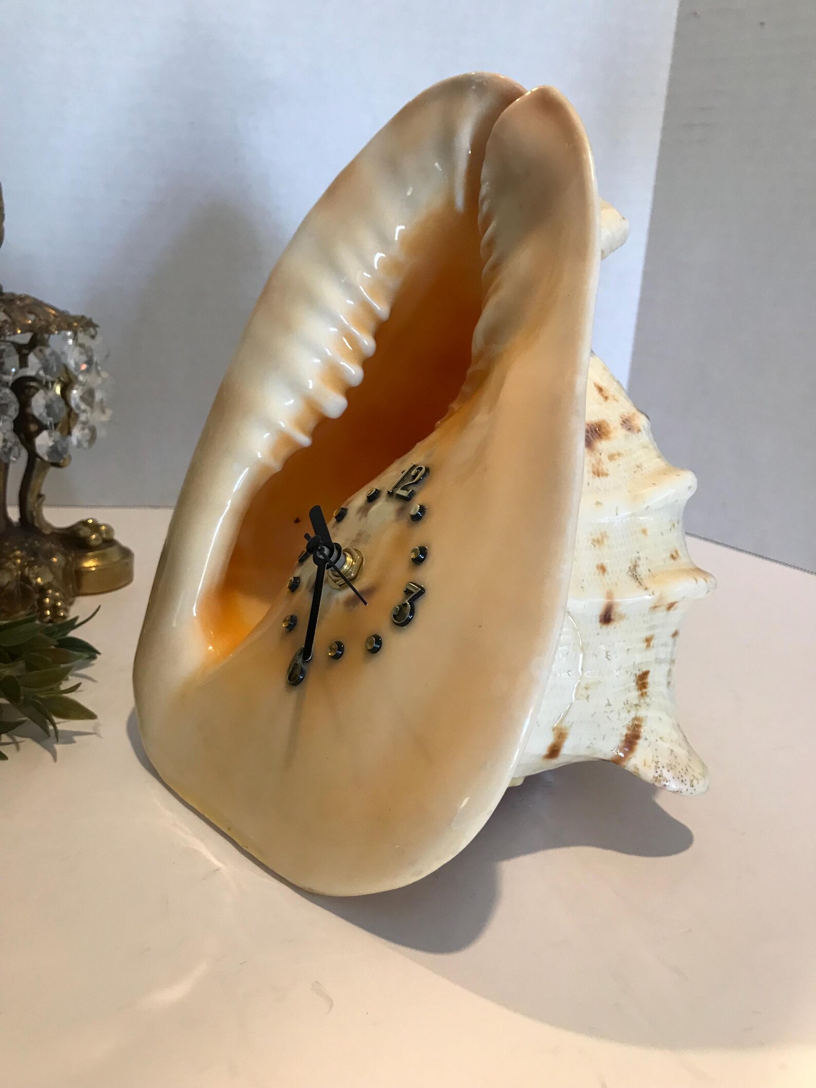Vintage Conch Shell Clock, Vintage Cassis Cornuta Large Clock, Beach ...