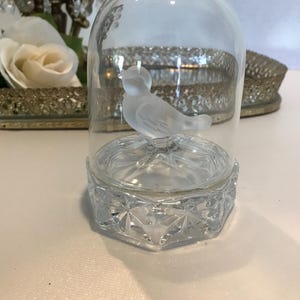 Vintage crystal bird under cloche figurine statue, Vintage clear glass frosted glass bird under clear glass cloche paperweight, bird statue