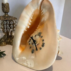 Vintage Conch Shell Clock, Vintage Cassis Cornuta Large Clock, Beach ...
