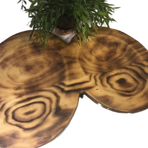 Puede incluir: Una gran fuente de madera con una forma orgánica única. La fuente está hecha de una sola pieza de madera, mostrando la veta y los nudos naturales. La madera tiene un tono marrón cálido con acentos más oscuros y quemados. Se coloca vegetación encima de la fuente.