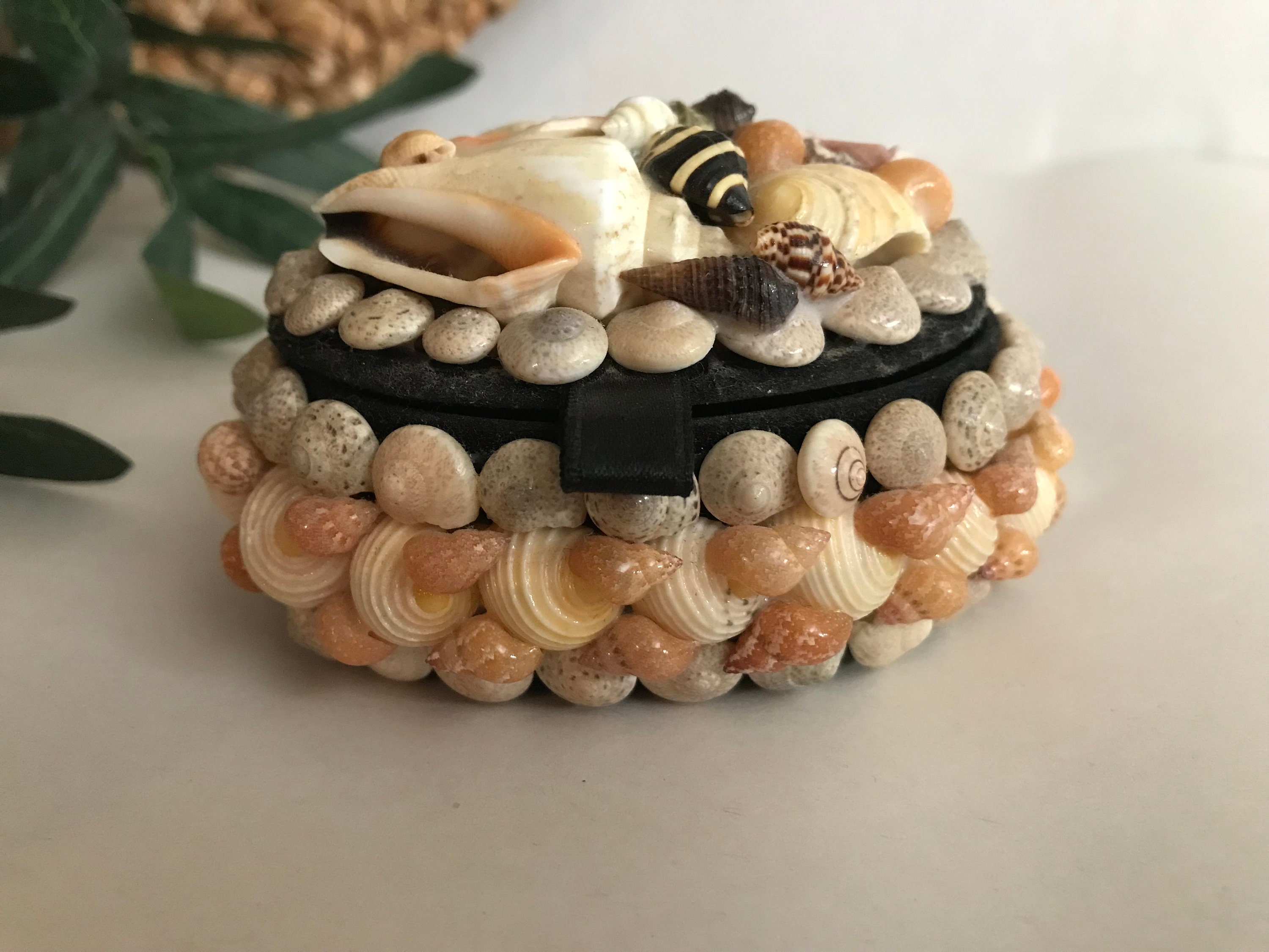 紅白のシェルが綺麗な小物入れ　アクセサリーボックス　シェル　ヴィンテージ ヴィンテージ シェル 小物入れ、ヴィンテージ シェル 小物入れと小物