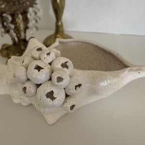 May include: A speckled, off-white ceramic seashell-shaped decorative bowl. The bowl features a textured surface and is adorned with several round, barnacle-like embellishments. The interior of the bowl is a lighter shade of off-white.