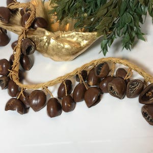 ヴィンテージの大きなナッツの殻のストランド、編み込みラフィアのベースにヴィンテージのナッツの殻のストランド、ストローラフィアのベースに装飾的なナッツの鞘のストランド