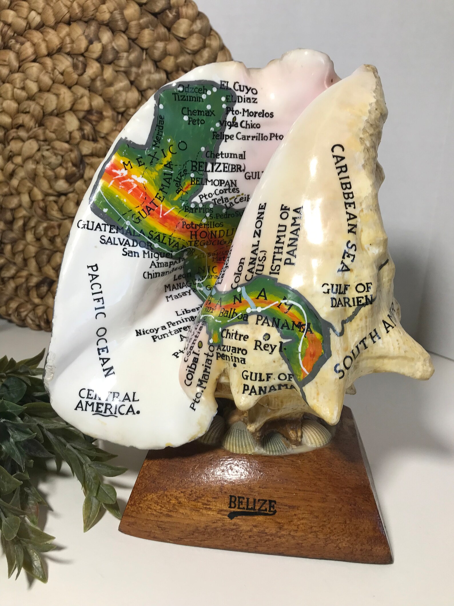 Vintage Large Tourist Conch Shell Statue, Vintage Belize Retro 70s ...
