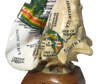 Vintage large tourist Conch shell statue, Vintage Belize retro 70s tourist shell display art, Unique vintage painted shell statue on base