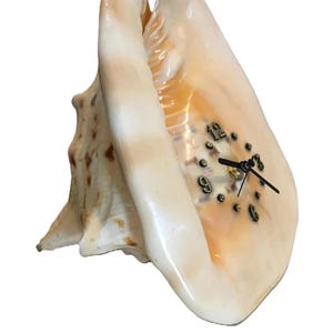 Vintage Conch shell clock, Vintage Cassis Cornuta large clock, Beach cottage decor Conch shell table top clock, Nautical shell mantle clock