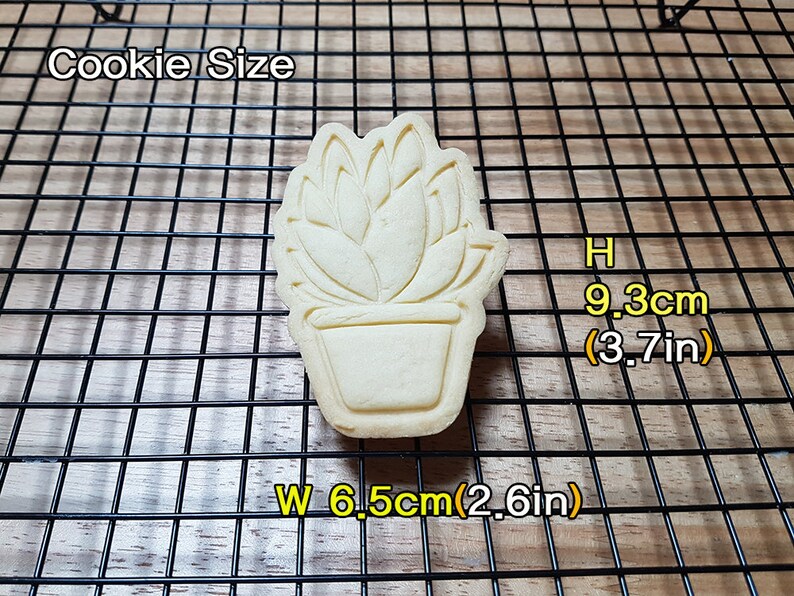 Cookie Cutter and Stamp Succulent Santorini / Succulent Cookie Cutter / Cactus Cookie Cutter image 2