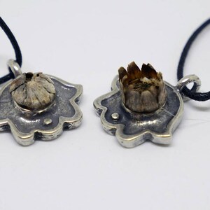 The Lucky Rose of Jericho/ The Hamsa