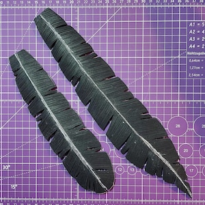 Peut inclure: Deux plumes noires sur un tapis de coupe quadrill&eacute; violet. Les plumes sont de tailles diff&eacute;rentes et ont une surface textur&eacute;e. Le tapis est marqu&eacute; en pouces et en centim&egrave;tres.