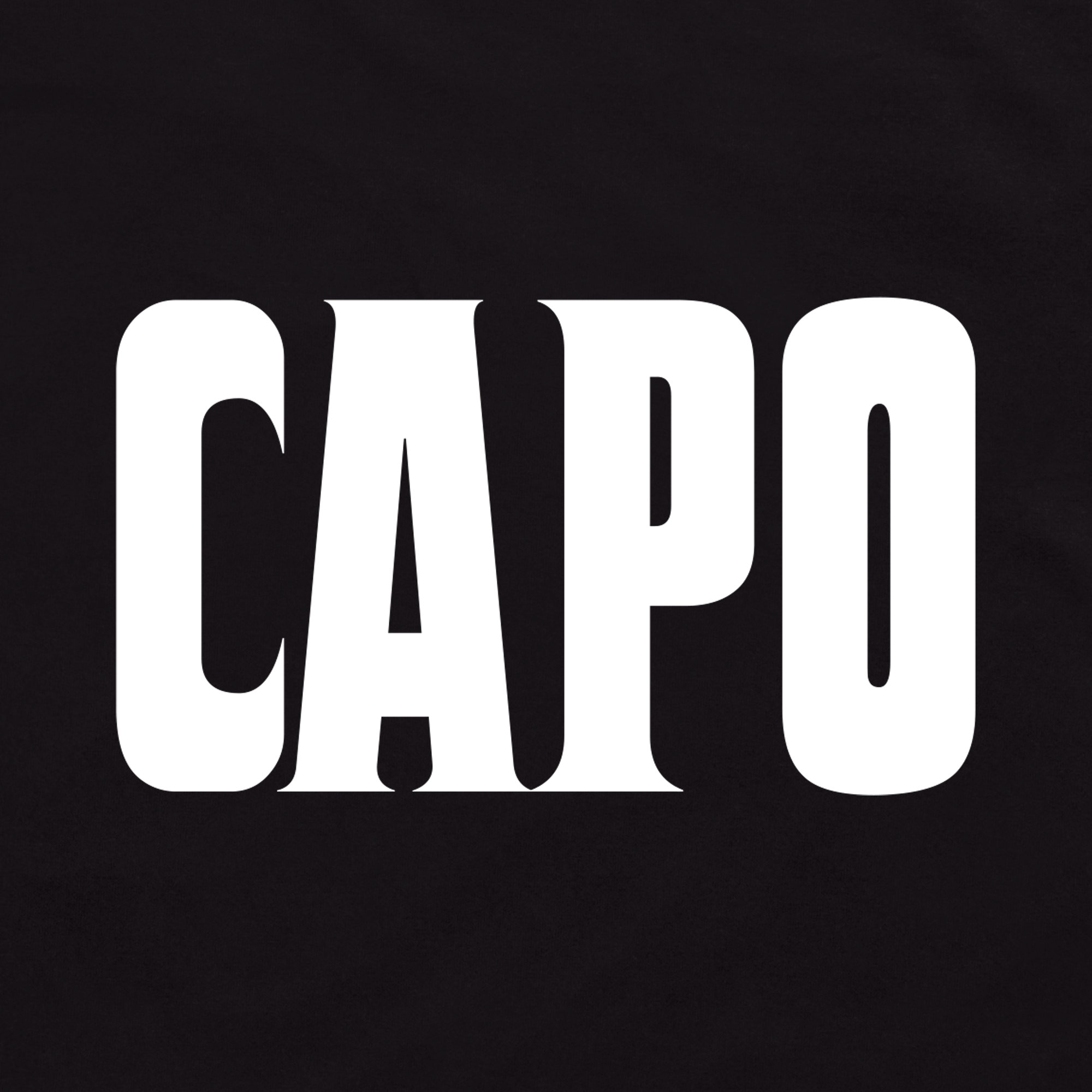 Capo Captain Consigliere Underboss the Godfather Five 5 Families Mafia