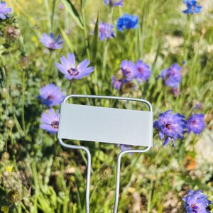 C-Serie Aluminium Garten Marker
