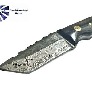 Damascus Steel Tanto Knife, Mini Beast / Dyed Bone grip by Titan TD-190 image 1
