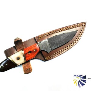 Titan International Knives Damascus Steel Hunting Knife Knife TD-027