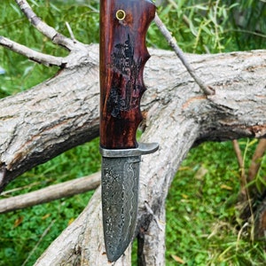 Damascus Steel Hunting Knife Buck Engraved Walnut Scales image 4