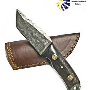 Damascus Steel Tanto Knife, Mini Beast / Dyed Bone grip by Titan TD-190 image 2