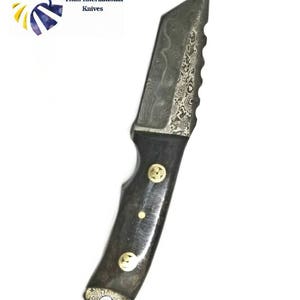 Damascus Steel Tanto Knife, Mini Beast / Dyed Bone grip by Titan TD-190 image 3