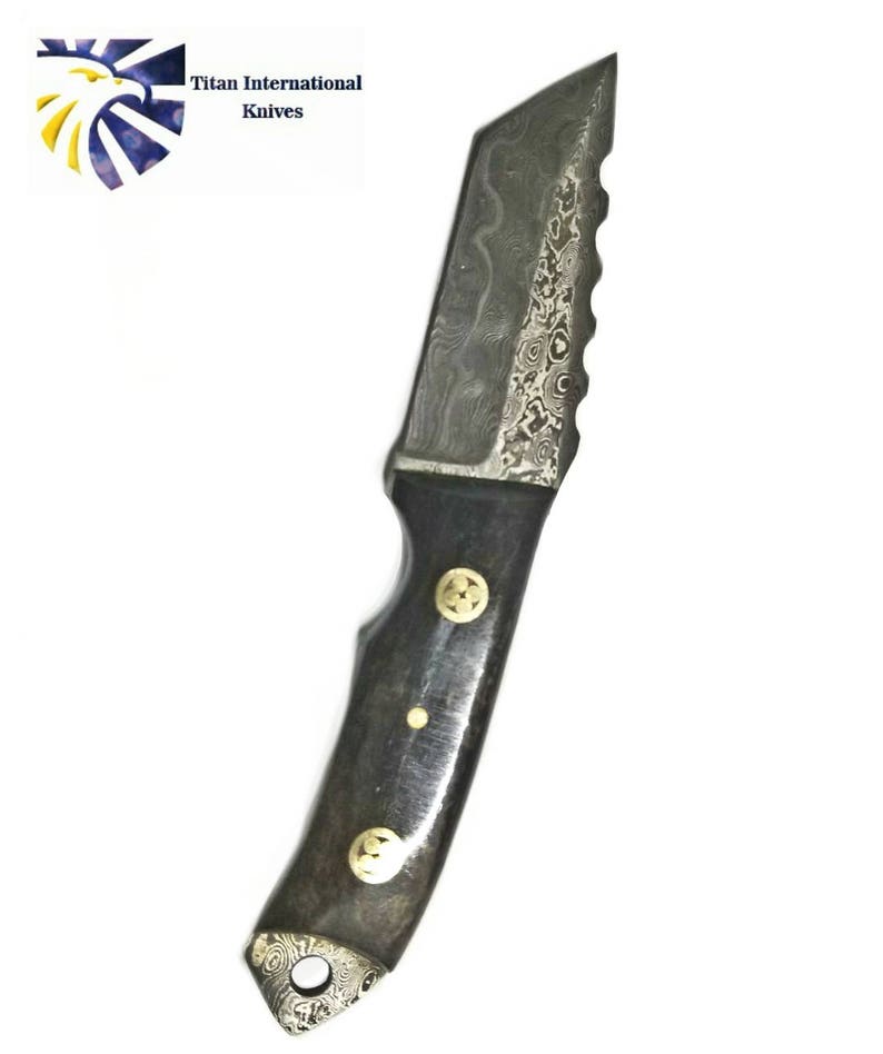 Damascus Steel Tanto Knife, Mini Beast / Dyed Bone grip by Titan TD-190 image 3