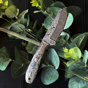 Titan International Knives Damascus Steel Skinning with Dark Dyed Bone Handle