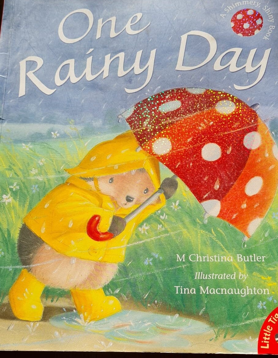 One Rainy Day  Book  by Butler  M. Christina