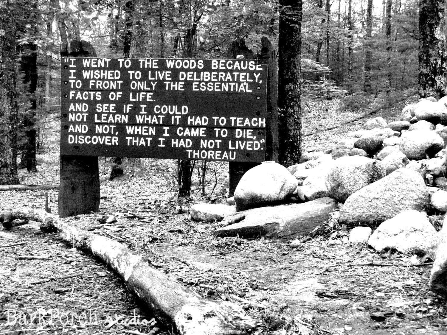 Walden Pond MA Thoreau Quote the Woods Black and White - Etsy