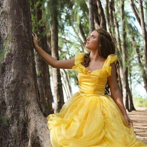 Classic Princess Cosplay Costume Gown Dress for Girls Teens Adults