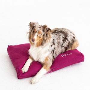 Abnehmbarer und waschbarer Hundebettbezug, Leinen-Hundebettbezug, personalisierter Hundebettbezug mit einem Namen bestickt, Hundebettbezug in benutzerdefinierten Größen