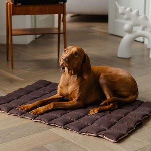 May include: A brown dog lying on a rectangular, quilted, dark brown pet bed with a light brown border. The dog is on a wooden floor. A vintage record player sits on a wooden side table in the background.