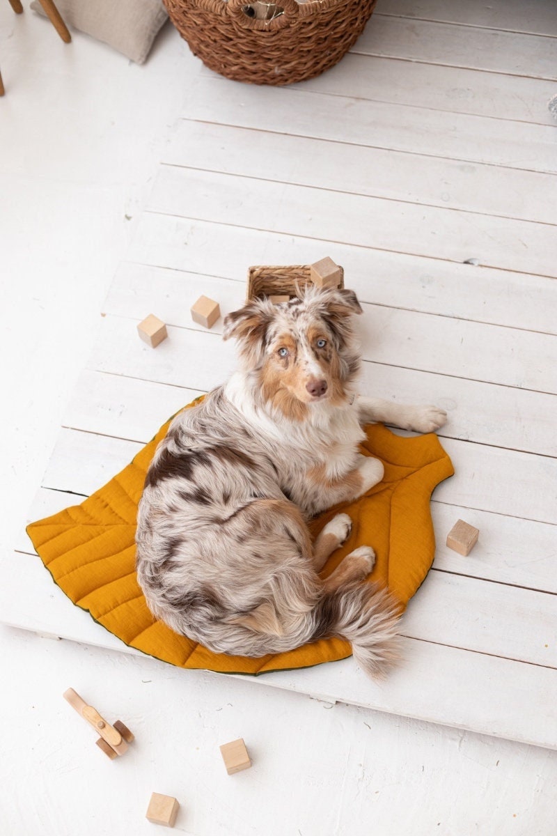 Leaf Shape Dog Blanket, Elm Green