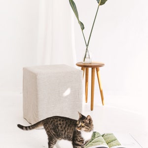 May include: A tabby cat with white markings stands on a white floor next to a book with green leaves on the cover. A small wooden stool with a round top and three legs is in the background. A white linen cube ottoman is also in the background.