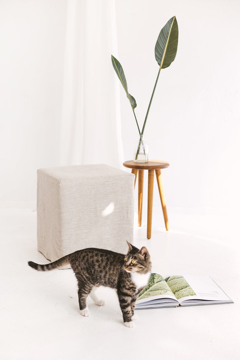 May include: A tabby cat with white markings stands on a white floor next to a book with green leaves on the cover. A small wooden stool with a round top and three legs is in the background. A white linen cube ottoman is also in the background.