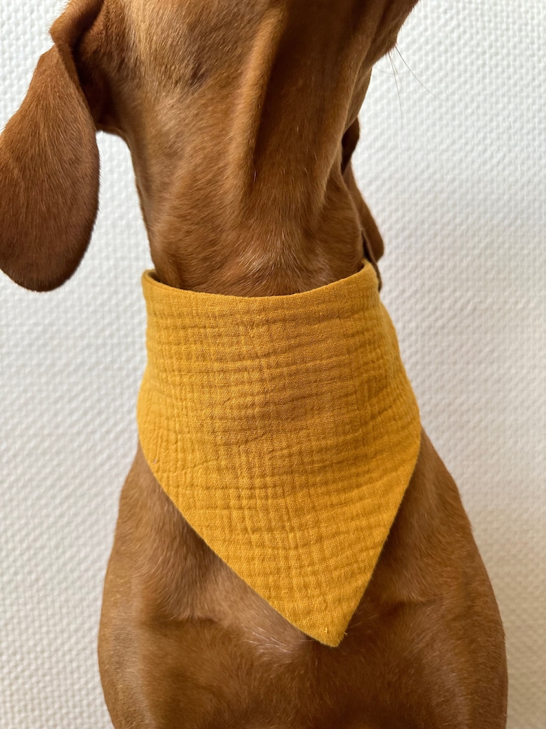 Mousseline hond bandana dassen, dubbele gaas hond stropdas, mousseline Hundehalstuch, mousseline hond accessoire, hond sjaal verschillende kleuren gaas bandana afbeelding 3