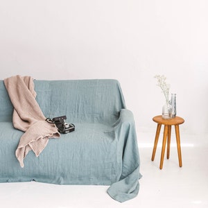 May include: A light blue linen sofa with a beige throw blanket and a vintage camera on the seat. A small wooden side table with a vase of white flowers sits next to the sofa.