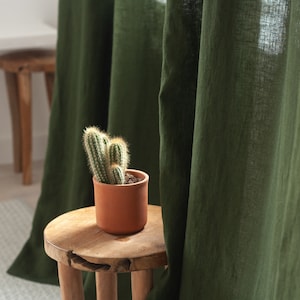 May include: A small potted cactus plant with light green stems sits on a wooden stool in front of a dark green linen curtain.
